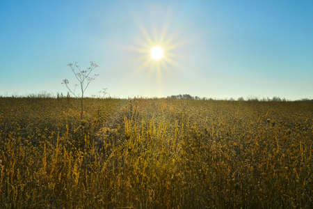 Sunrise over a fieldの写真素材