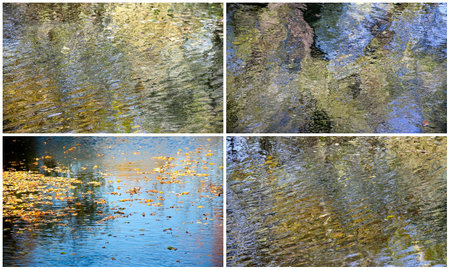 Collage of autumn leaves with reflection backgrounds and colors in the waterの写真素材