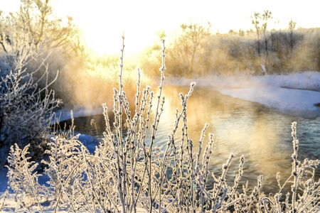 Winter sunny landscape with river and forest.の写真素材