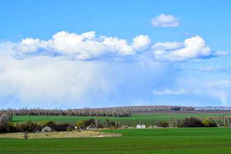 Rural landscape with a green field, clouds and farm.の写真素材