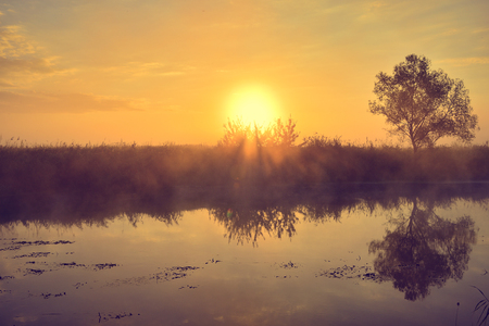 Photo with a summer sunrise by river and tree.の写真素材