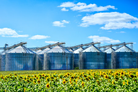 Sunflower oil production plant and sunflower field.の写真素材