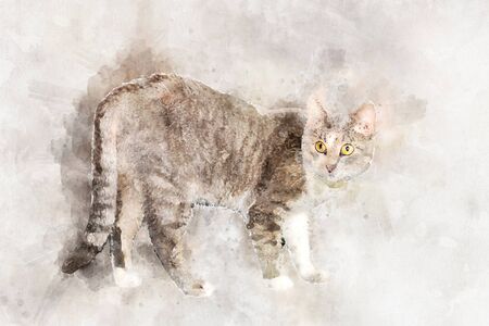 A graceful gray tabby cat with yellow eyes stands and looks at the camera.. Stylization in watercolor drawingの写真素材