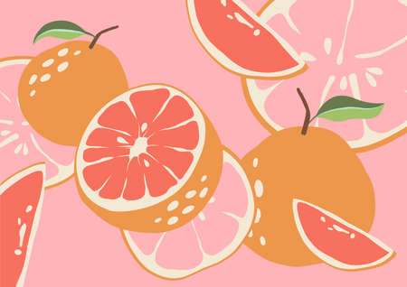 Abstract grapefruit. Pink background. Composition citrus fresh. Healthy food for vegan in modern style, colorful fruits vector set. Horizontal illustration. Border line.のイラスト素材