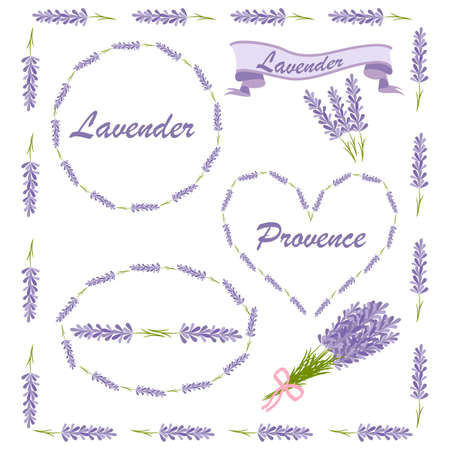 Floral elements for logo or decor. Lavender icons set: flowers, calligraphy, floral elements. Vector illustrationのイラスト素材
