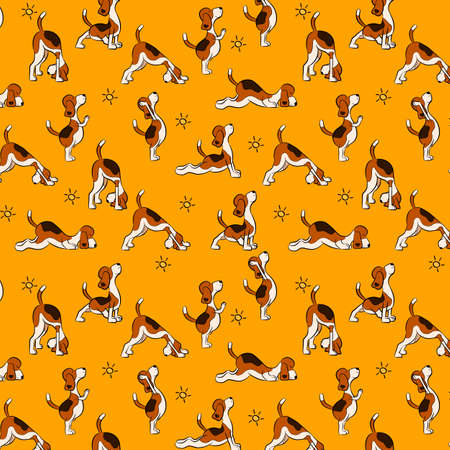 Funny seamless pattern with isolated cartoon dog doing yoga position of Surya Namaskara. San Salutation. Beagle vector illustrationのイラスト素材