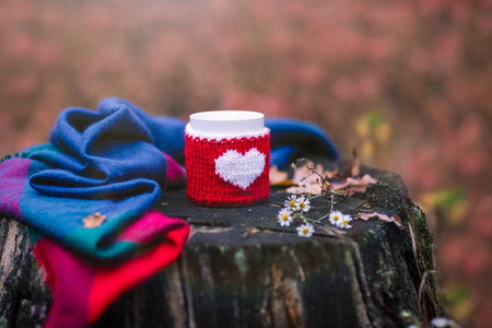 Tea cup with knitted heart and woolen scarf on a wooden stump in autumn season