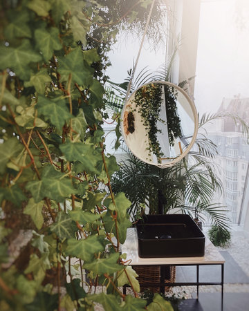 Interior of a modern bathroom with a large window. Round mirror with black sink and lots of green climbing plants.の写真素材