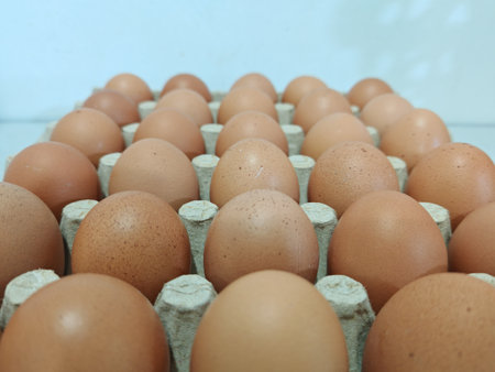 Eggs in egg carton box on blue background, stock photoの写真素材