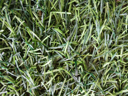 Synthetic turf with plastic blades in varied green shades, mimicking natural grass texture for...