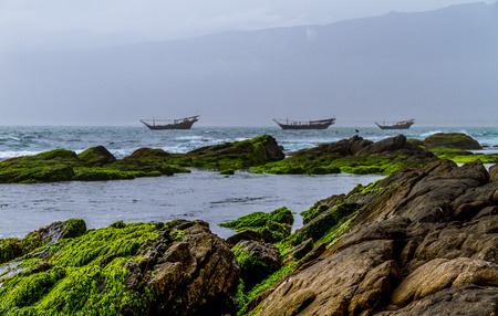 Salalah City in Oman in United Arab Emiratesの写真素材