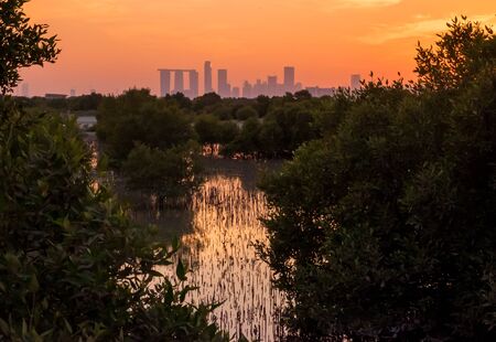 Abu Dhabi east mangrove in UAE abu dhabi reem island viewの写真素材