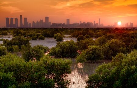 Abu Dhabi east mangrove in UAE abu dhabi reem island viewの写真素材