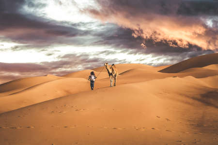 Arab Bedouin man with his camel in the Desert in Abu Dhabi western region Liwa Desert in United Arab Emirates in April 30, 2010のeditorial素材
