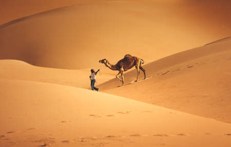 Arab Bedouin man with his camel in the Desert in Abu Dhabi western region Liwa Desert in United Arab Emirates in April 30, 2010のeditorial素材