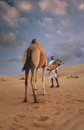 Abu dhabi western region Liwa Desert in united Arab emirates April 30, 2010のeditorial素材