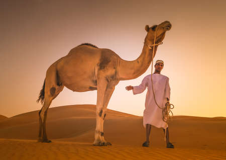 Bedouin man with his camel  in Abu dhabi western region Liwa Desert in united Arab emirates April 30, 2010のeditorial素材