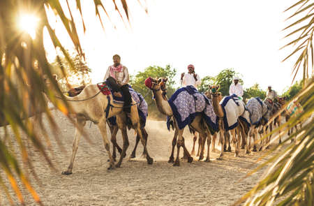 View of Abu Dhabi  Skyline and parking at Abu Dhabi, United Arab Emirates in 21/10/2012のeditorial素材