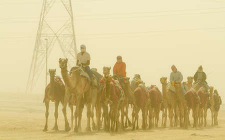 Bedouin men riding camels in Al Dafrah festival in December 29, 2012 Abu Dhabi,United Arab Emiratesのeditorial素材