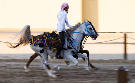 Riding arabian horsesin  Sheikh Zayed Heritage Festival September 22, 2014 in Abu Dhab, United Arab Emiratesのeditorial素材