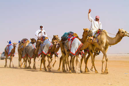 Bedouin men riding camels in Al Dafrah festival in December 29, 2012 Abu Dhabi,United Arab Emiratesのeditorial素材