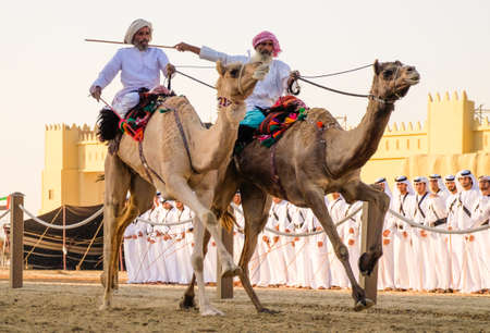 Camel Riders race at the Al Wathba Sheikh Zayed Heritage Festival in Al Wathba, Abu Dhabi, 22 Nobember 2014のeditorial素材