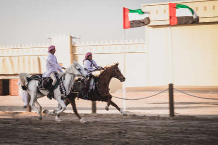 Riding arabian horsesin  Sheikh Zayed Heritage Festival September 22, 2014 in Abu Dhab, United Arab Emiratesのeditorial素材