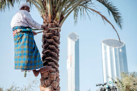 Culture of United Arab Emirates Climbing the palms form qasr al hosn festival in Abu Dhabi in February 15, 2015のeditorial素材