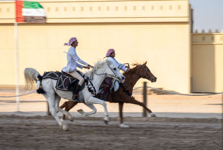 Riding arabian horsesin  Sheikh Zayed Heritage Festival September 22, 2014 in Abu Dhab, United Arab Emiratesのeditorial素材