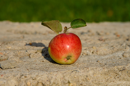 A juicy apple lies on a concrete slabの写真素材