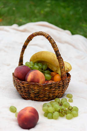 Fruit basket in the park on the grass.の写真素材
