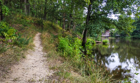 A narrow forest path on the lake shore with a cozy cottage on the other side among the treesの写真素材