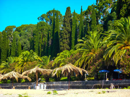 Sunny, relaxing and incredibly lush, like a botanical garden, the beach shore of the southern resort town with golden sand and palm leaf sunshadesの写真素材