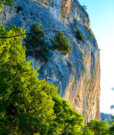 Sheer cliff seen on a trip along a mountain road with trees growing on it and sunrise rays looks like a vertical horizonの写真素材