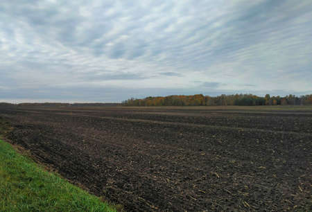 Huge plowed field, ready for winter and spring sowingの写真素材