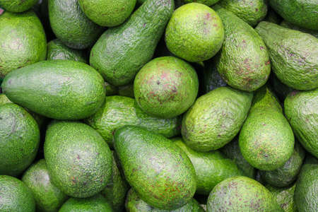 Abstract of green avocado fruits small ripe for sale in the health food storeの写真素材