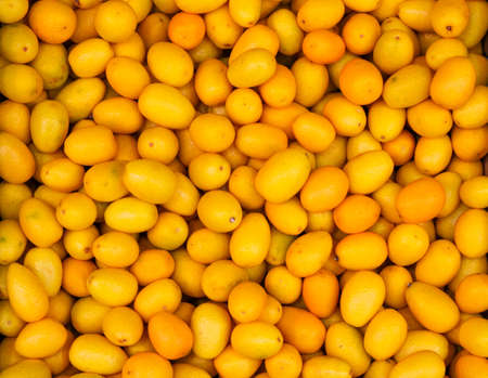 Texture of many small juicy orange fruits of kumquat ripe collected for sale in the marketの写真素材