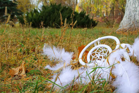 Lost white feathery dreamcatcher DIY lies in the park in autumn a symbol of mysticism patterned and airyの写真素材