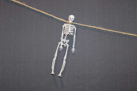 One white skeleton suspended on a coarse hair rope is a Halloween decoration on a gray fabric backgroundの写真素材