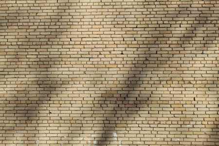 Wall made of yellow and white brick aged laid with cement in the shadows of trees with spots of white paintの写真素材