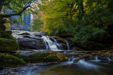 Waterfall flowing through autumn yellow leaves