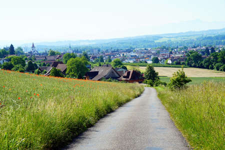 Way and fieldの写真素材