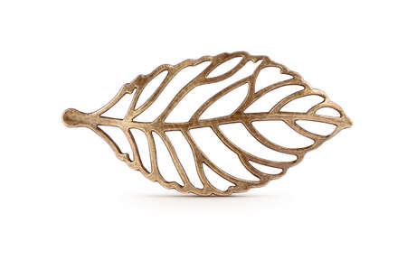 Bronze leaf symbol on isolated backgroundの写真素材