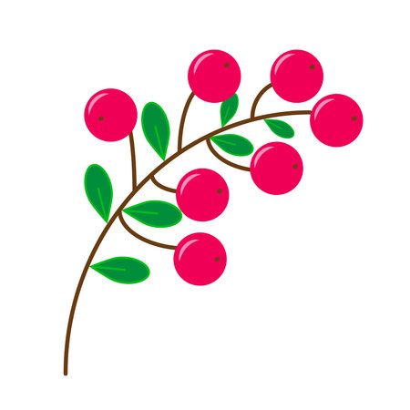 Cranberry background. Beautiful invitation card with wild berries branches. Isolated greeting designのイラスト素材