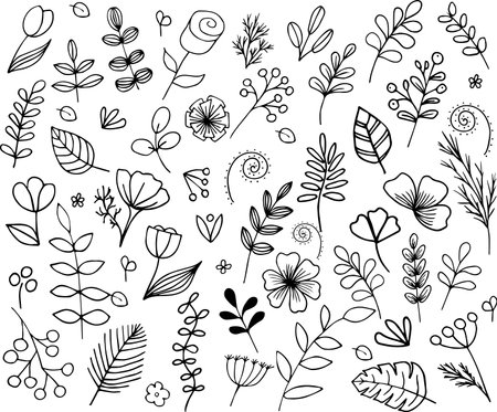 hand-drawn various herbs flowers and twigs in the doodle styleのイラスト素材