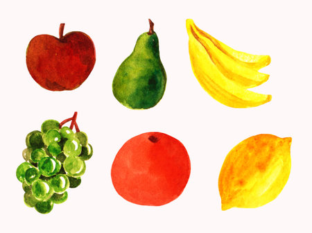 Set of watercolor ripe fruits. Simple hand drawn paintingの写真素材