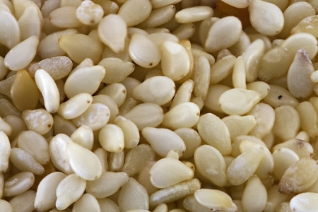 Sesame Seeds Closeup Details Backgroundの写真素材