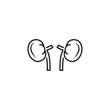 Human organ kidney line icon. Body part element. Premium quality graphic design. Signs, outline symbols collection, simple thin line icon for websites, web design, mobile app, info graphics on white background.のイラスト素材
