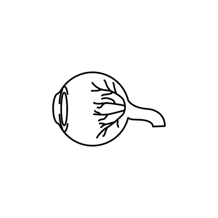 Eyeball anatomy icon, medical side view line art pictogram, image for ophthalmology patient education materials, eye doctor poster, optical salon, eye health concept. Flat style vector illustration on white background.のイラスト素材