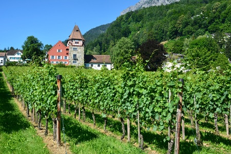 Vaduz, Liechtenstein - June 30, 2015. The Red House in the Mitteldorf area of Vaduzのeditorial素材
